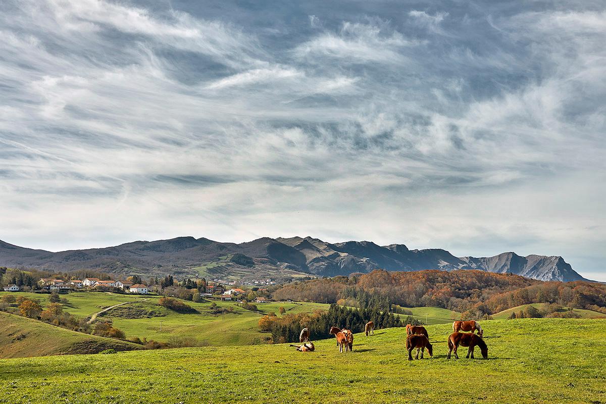 Green landscape of Las Malloas with grazing horses in the foreground on the right, farmhouses on the left and mountains in the background